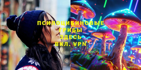 тгк Белокуриха