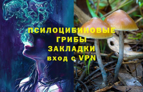 тгк Белокуриха