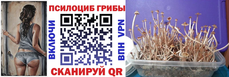 даркнет сайт  Краснокаменск  Галлюциногенные грибы мицелий 
